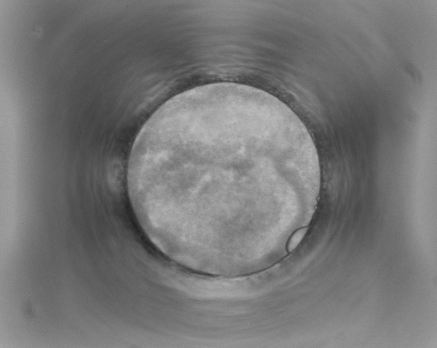 X0000114110036200911161127