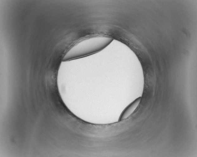 X0000114110037200911161127