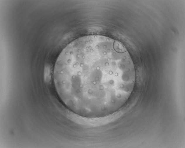 X0000114110038200911161127