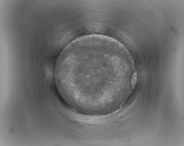 X0000114110040200911161127