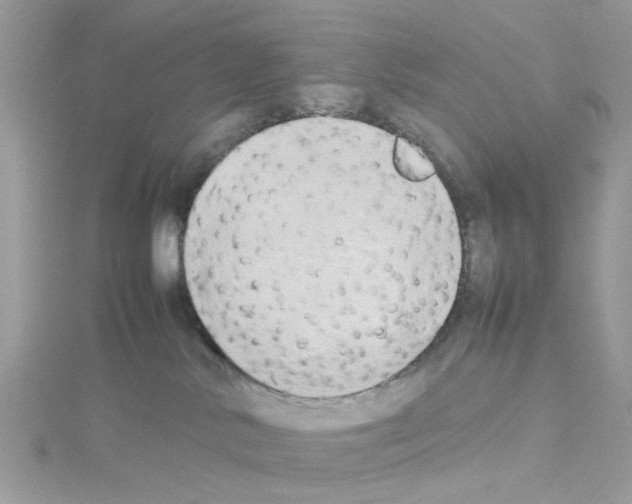 X0000114110042200911161127