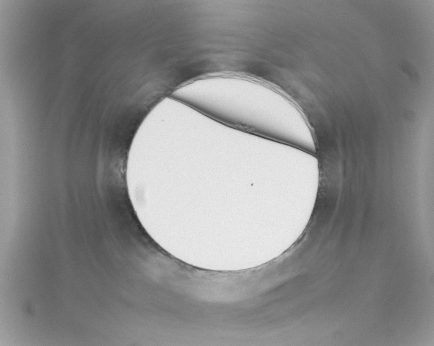 X0000114110045200911161127