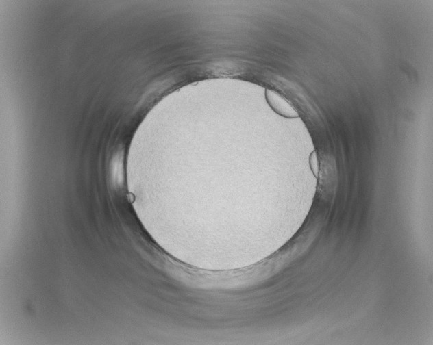 X0000114110046200911161127