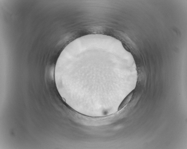 X0000114110047200911161127