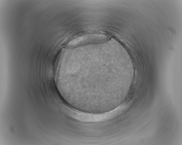 X0000114110048200911161127