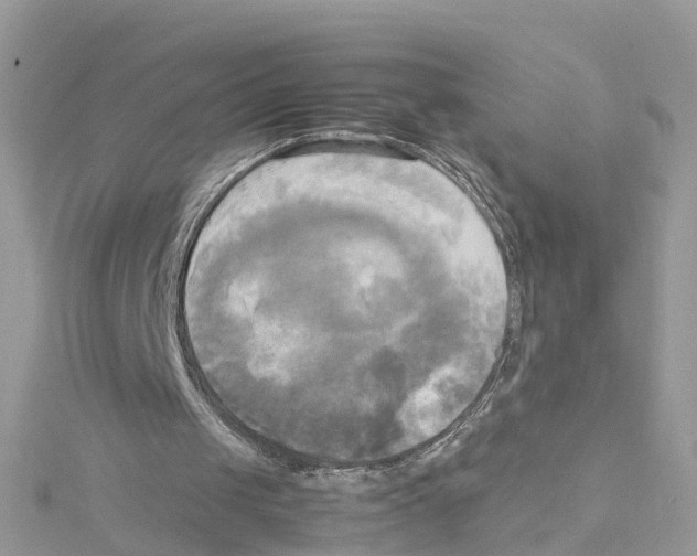 X0000114110049200911161127