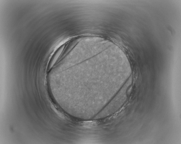 X0000114110050200911161127