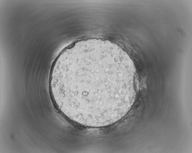 X0000114110052200911161127