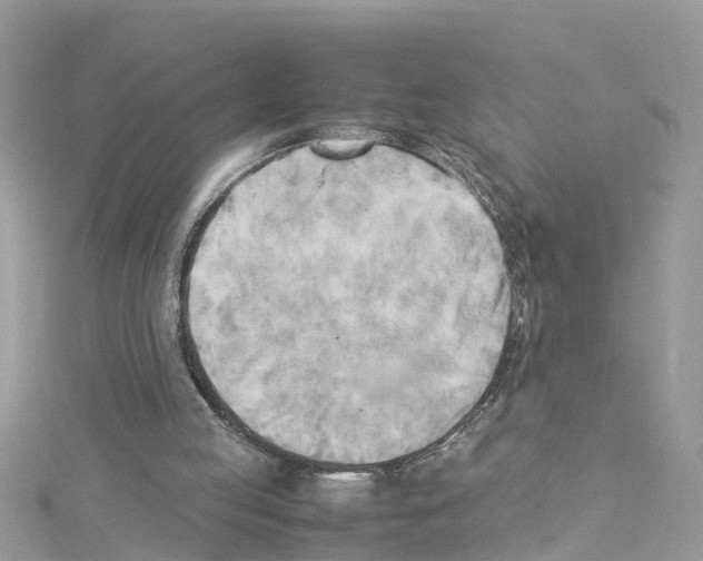 X0000114110053200911161127