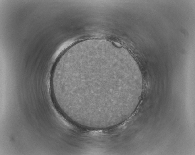 X0000114110054200911161127