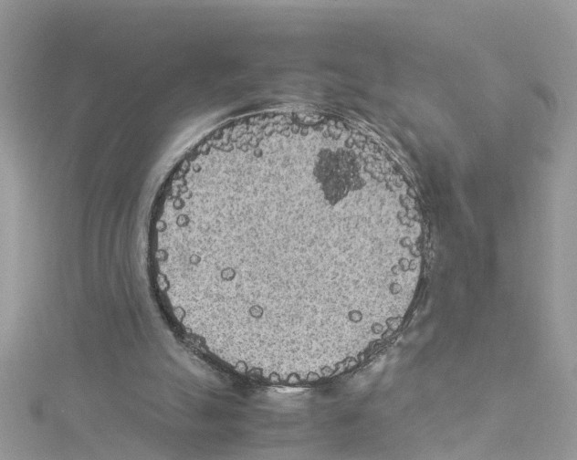 X0000114110055200911161127