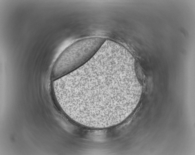 X0000114110056200911161127