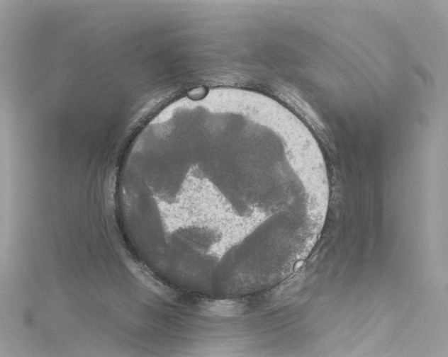 X0000114110058200911161127