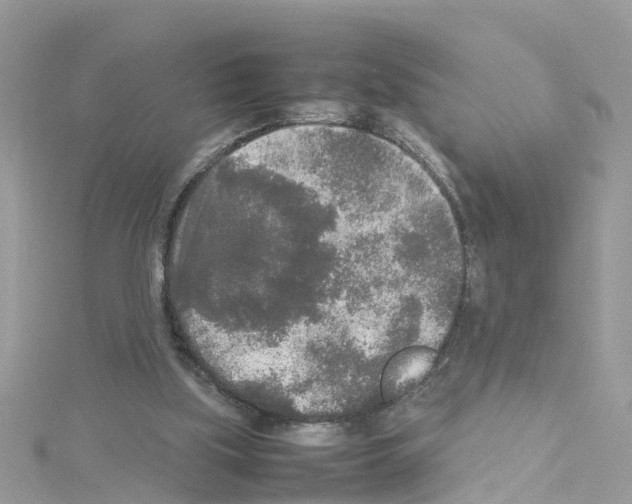 X0000114110059200911161127