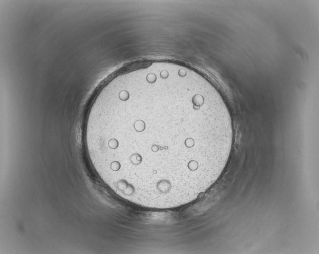 X0000114110060200911161127