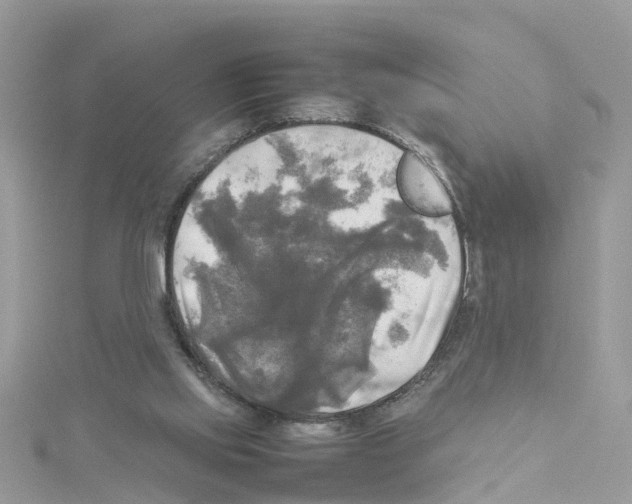 X0000114110061200911161127