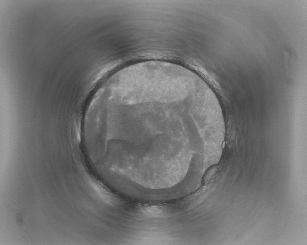 X0000114110062200911161127