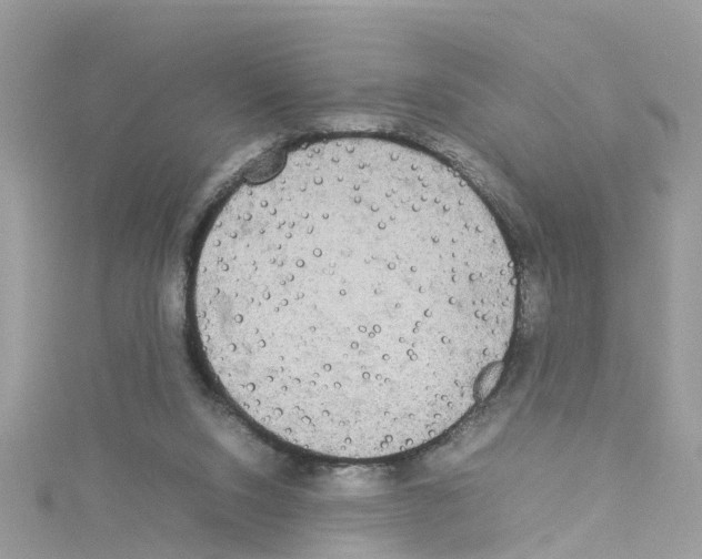 X0000114110064200911161127