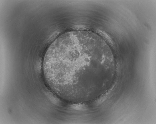 X0000114110065200911161127