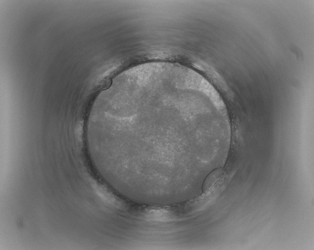 X0000114110066200911161127