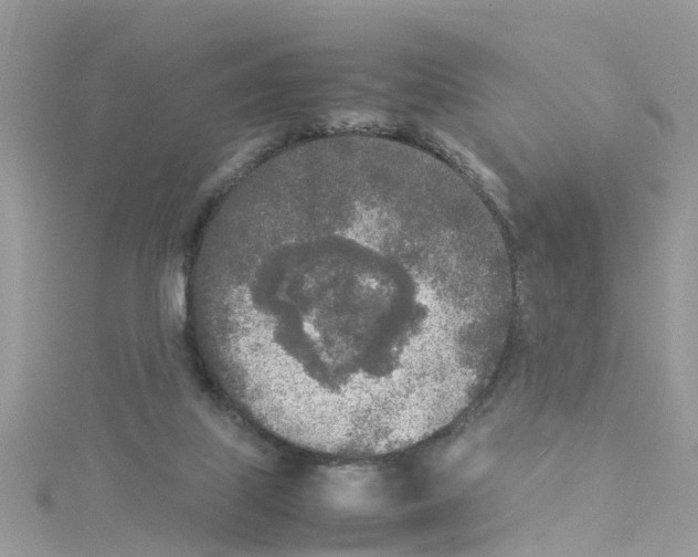 X0000114110067200911161127