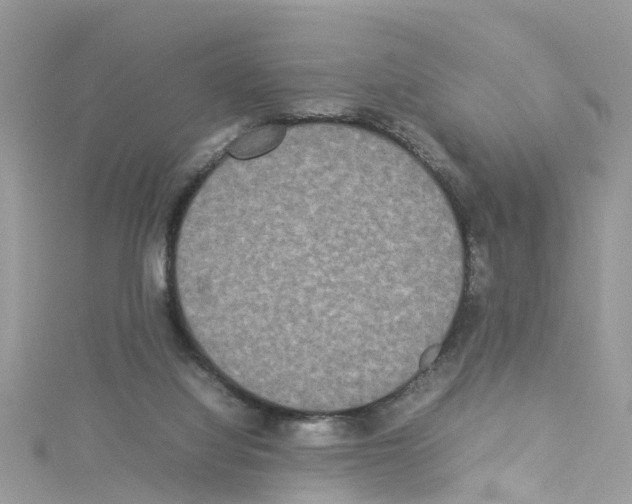 X0000114110068200911161127