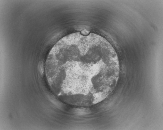 X0000114110069200911161127