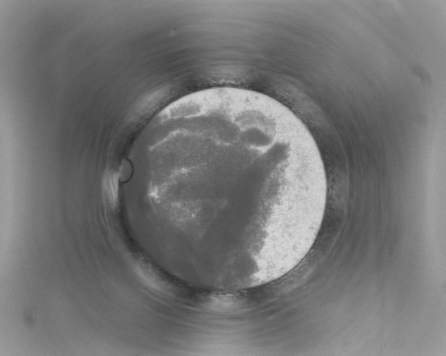 X0000114110070200911161127