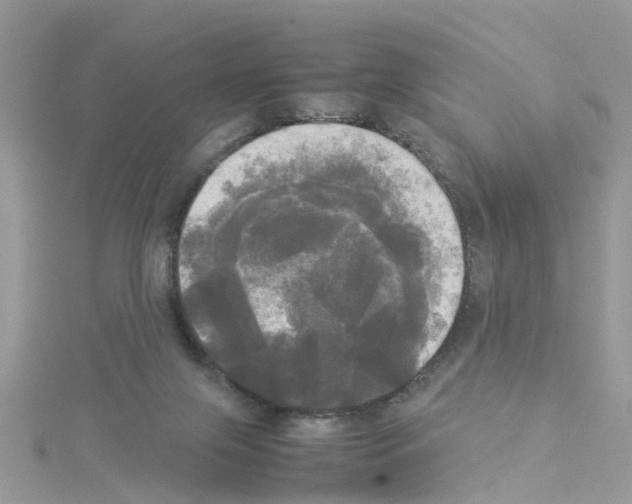 X0000114110071200911161127