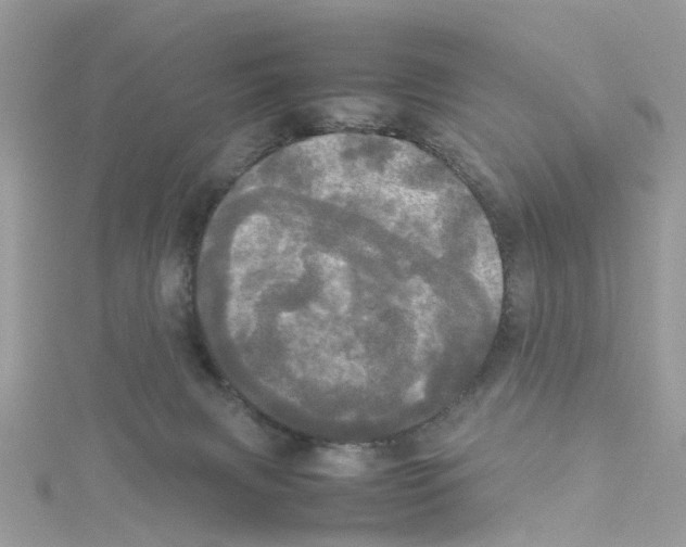 X0000114110079200911161127