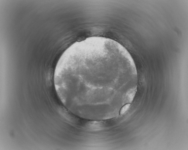 X0000114110082200911161127