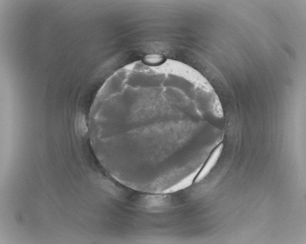 X0000114110089200911161127