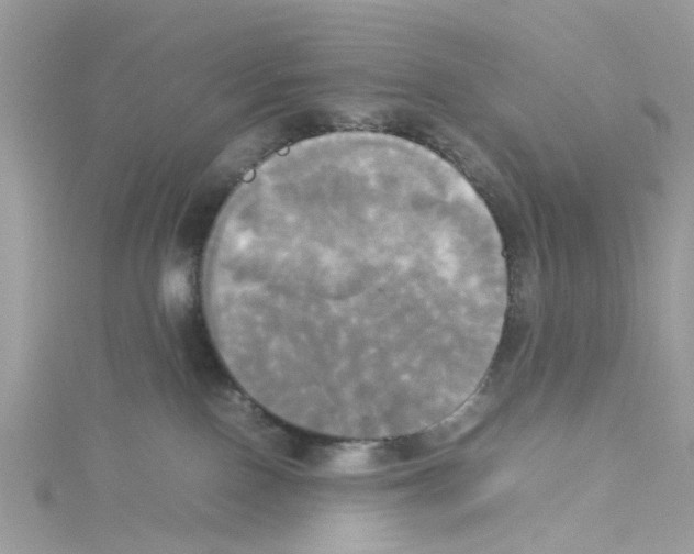 X0000114110090200911161127