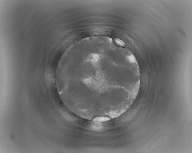 X0000114110091200911161127