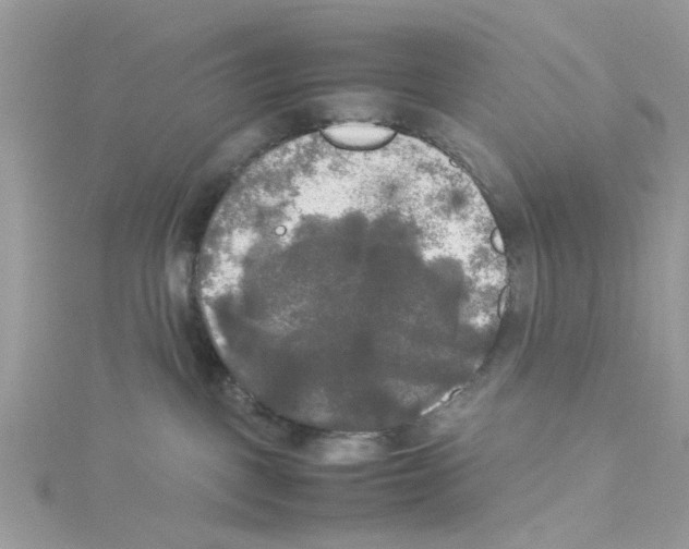 X0000114110093200911161127