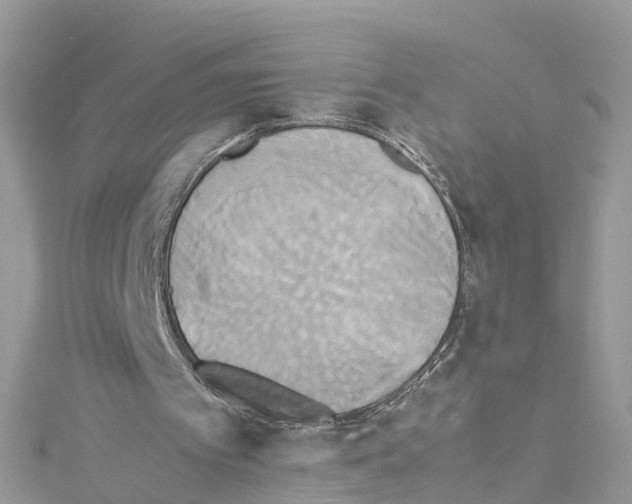 X0000114110097200911161127