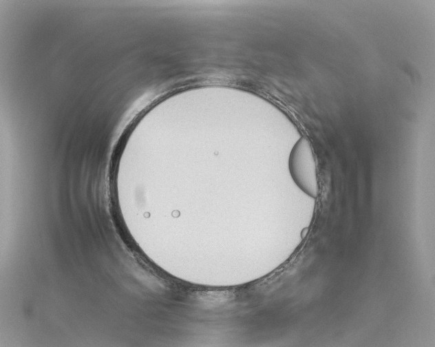 X0000114110102200911161127