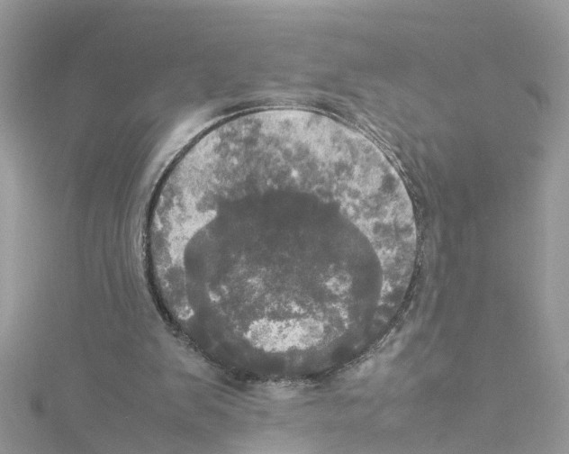 X0000114110103200911161127