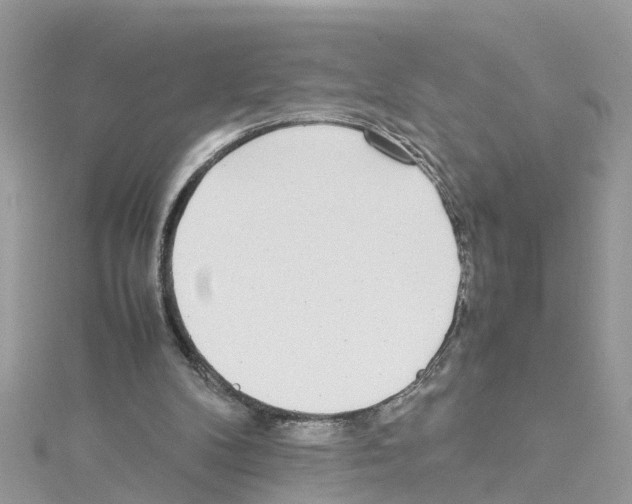 X0000114110104200911161127