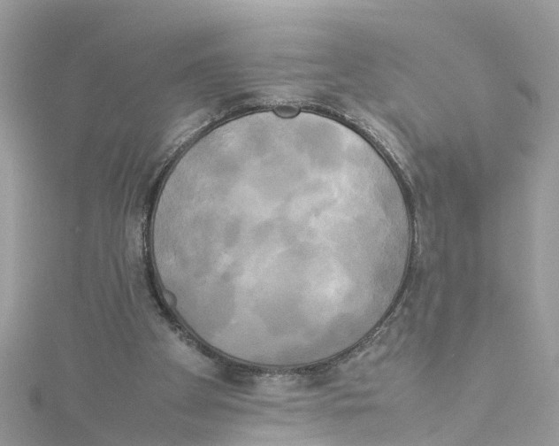 X0000114110105200911161127