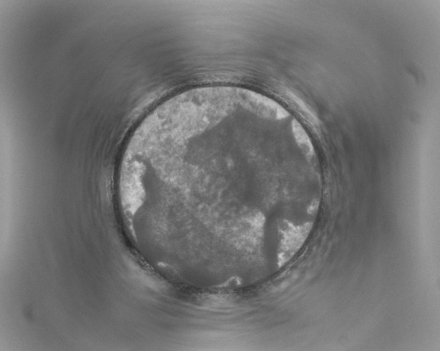 X0000114110107200911161127