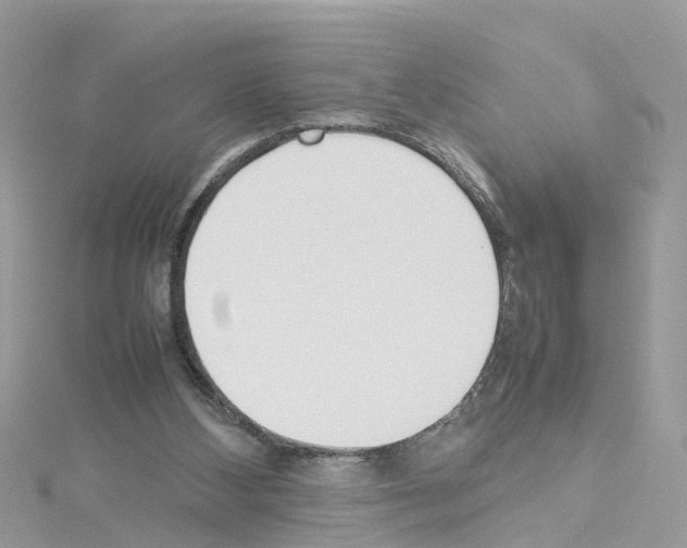 X0000114110108200911161127