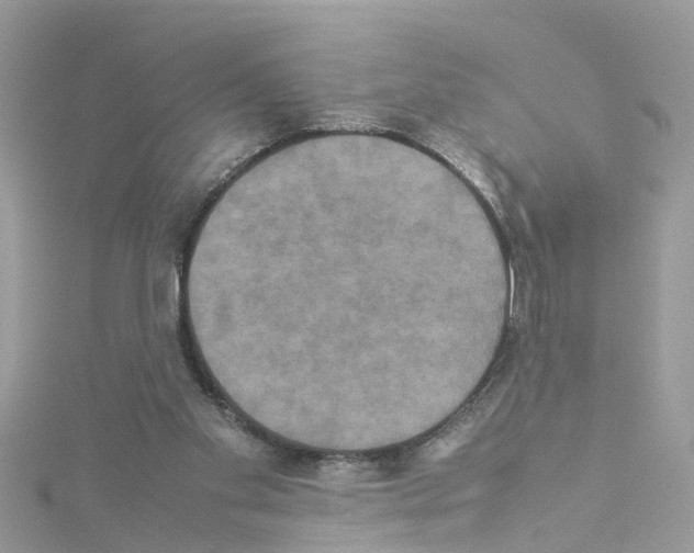 X0000114110109200911161126