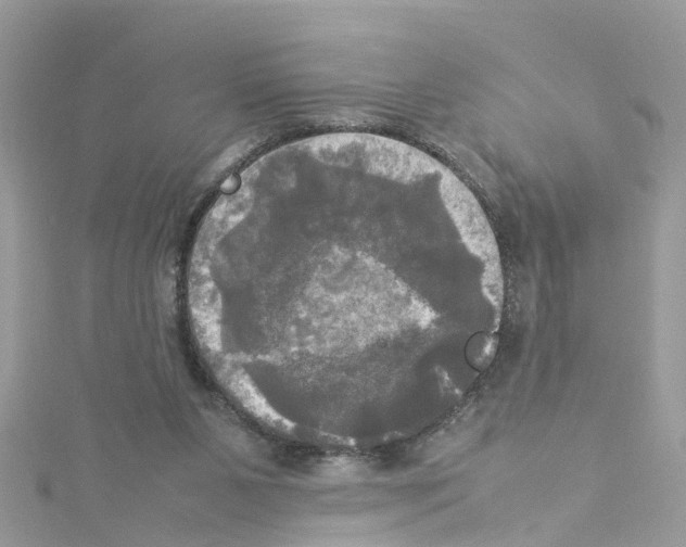 X0000114110111200911161126