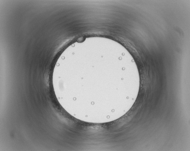 X0000114110112200911161126