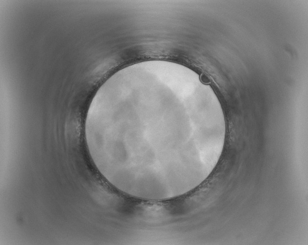 X0000114110113200911161126