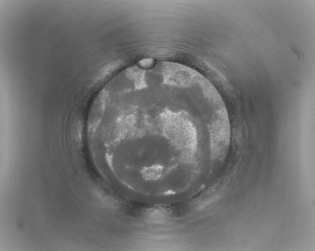 X0000114110115200911161126