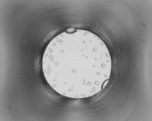 X0000114110116200911161126