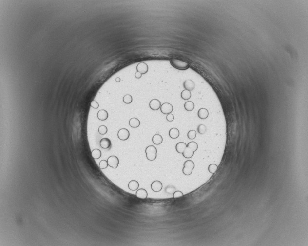 X0000114110120200911161126