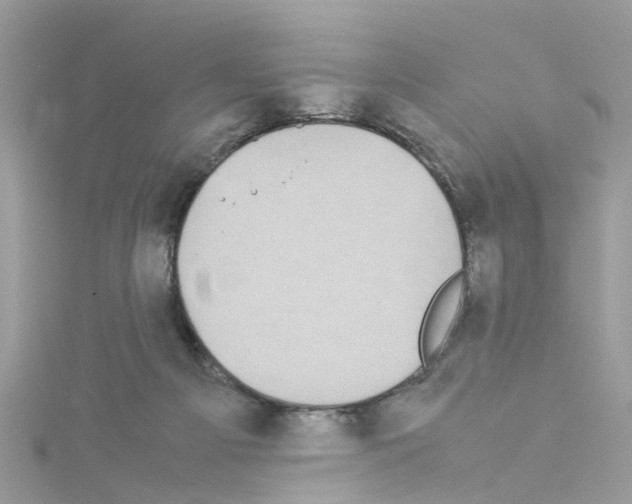 X0000114110121200911161126